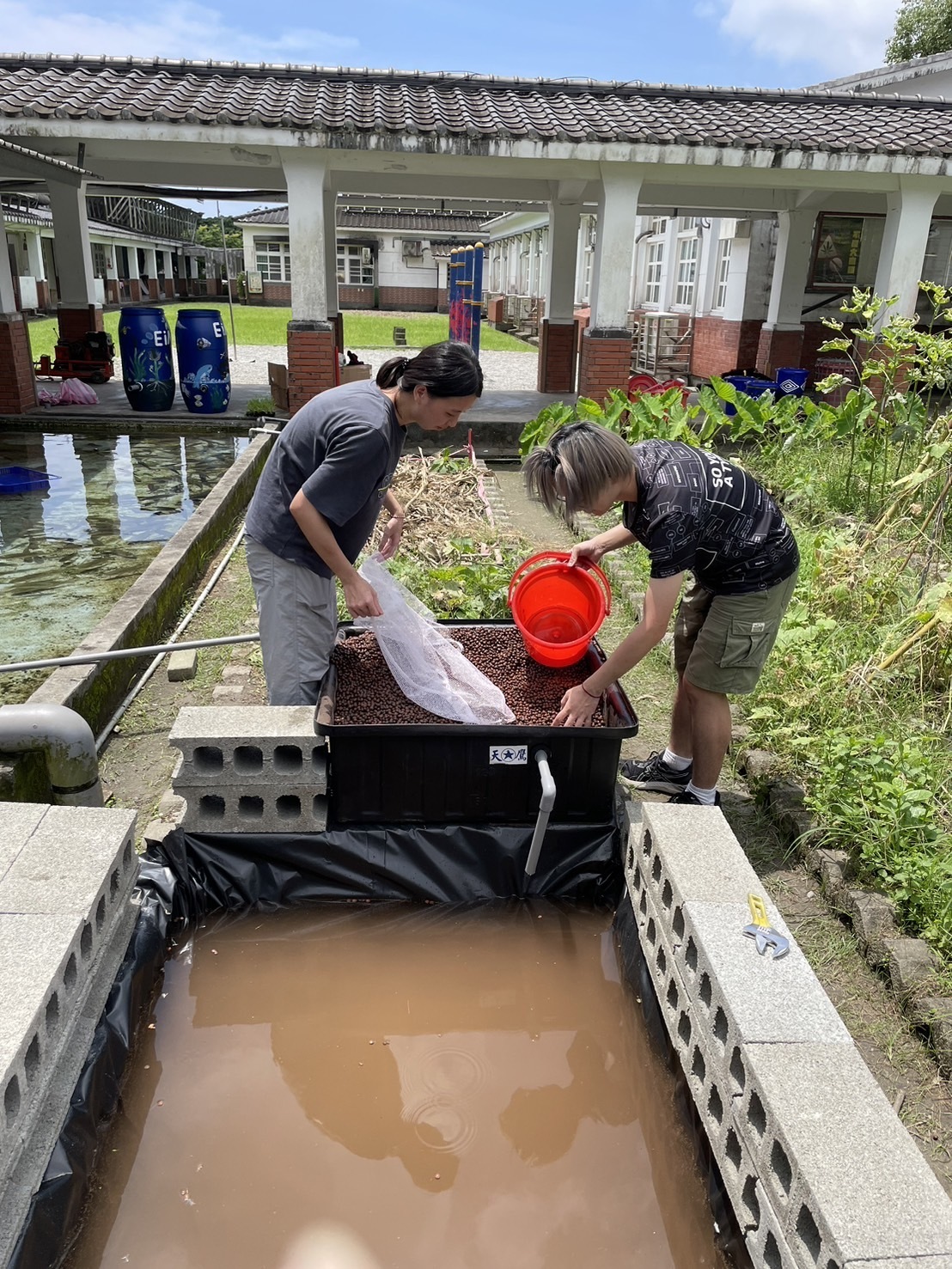 Taiwan Tech mobile engineers are currently cleaning the foam stone in the aquaponics system's planting beds.