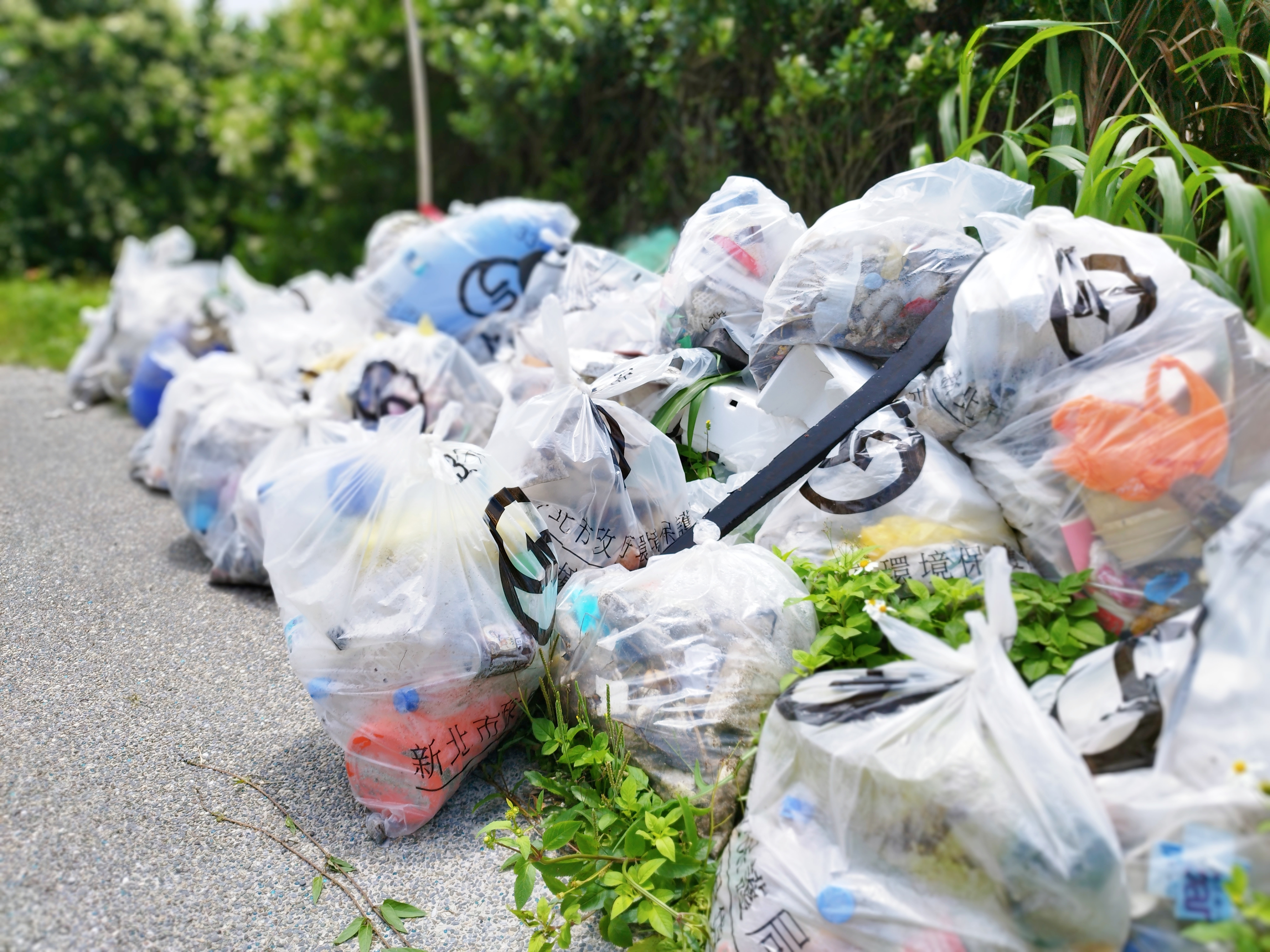 During the beach cleaning process, a considerable number of plastic products were collected.