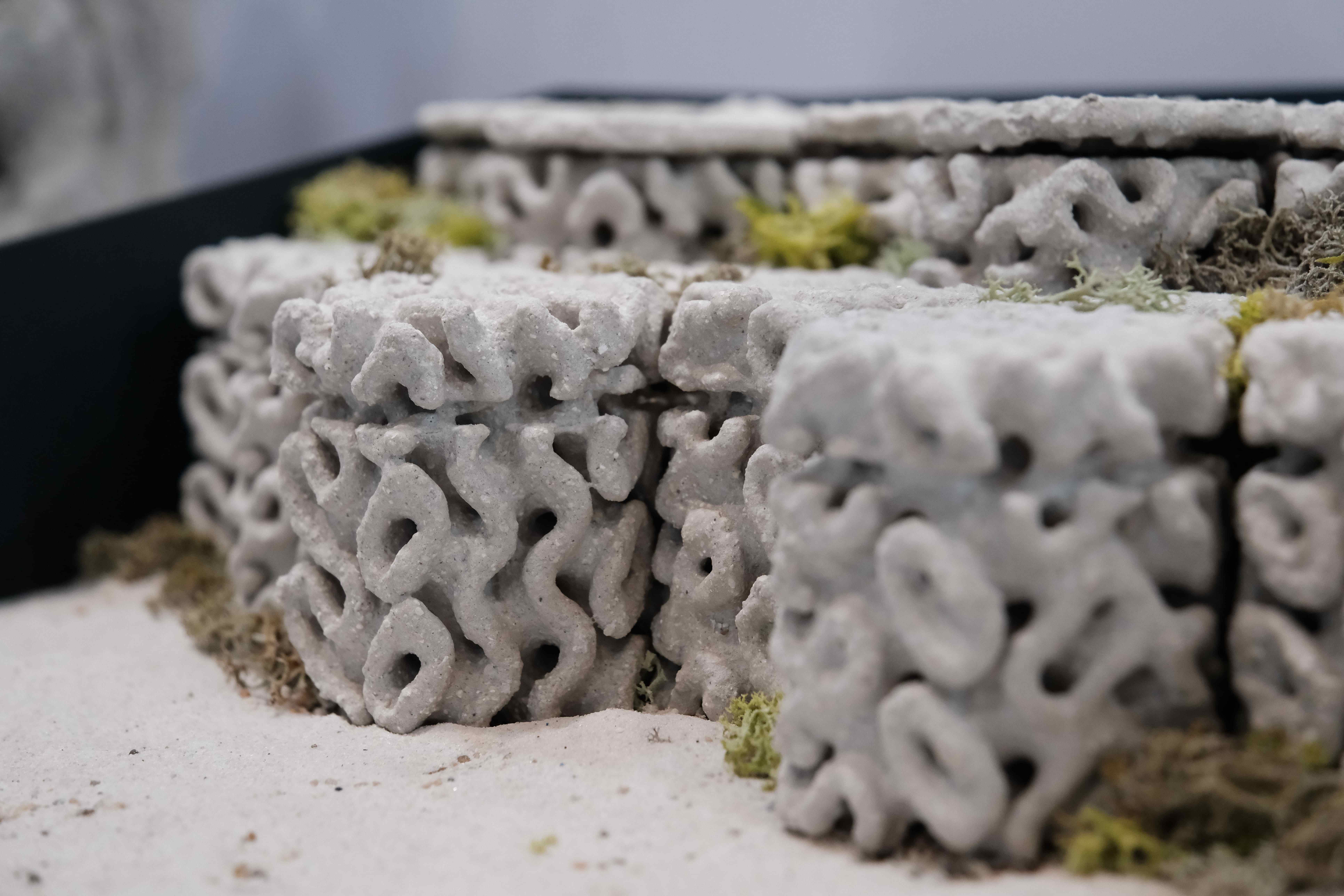 The “Ecotrapod: A New Solution to Wave Dissipation” achieves Sustainable Development Goals (SDGs) through scientific principles and 3D printing, minimizing material usage while ensuring structural strength. It is lighter than traditional wave-dissipating blocks, contributing to carbon reduction and enhancing the value of marine waste (oyster shells).